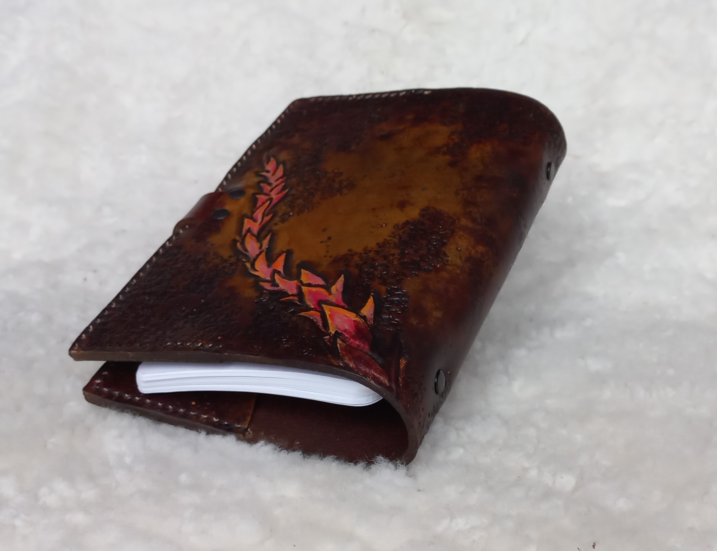 A6_drak01_krouzkovy_1b